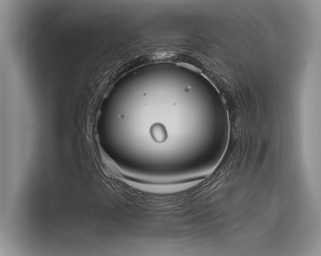 X0000114551441200910191402