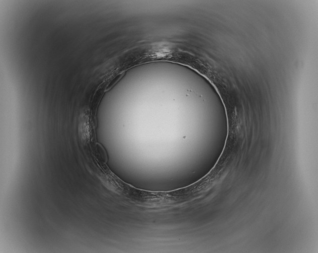 X0000114551442200910191402