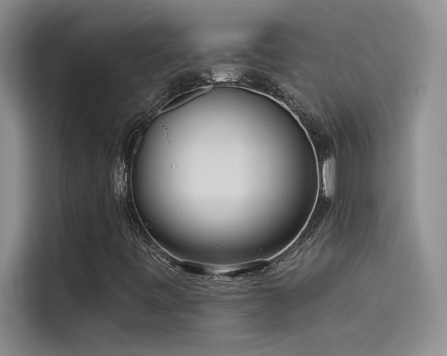 X0000114551443200910191402