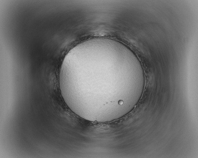 X0000114551446200910191401