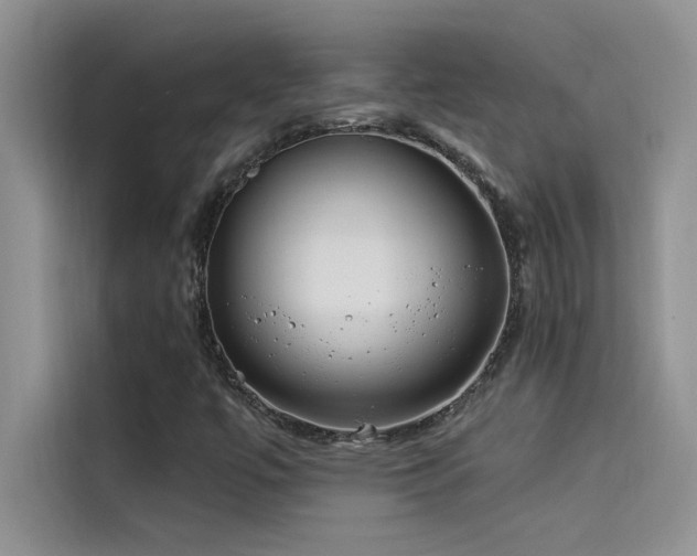 X0000114551447200910191401