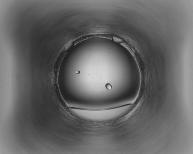 X0000114551449200910191401