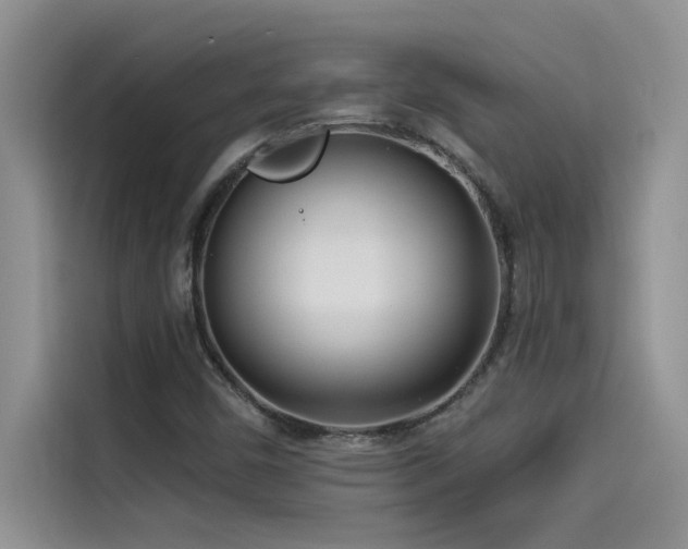 X0000114551450200910191401