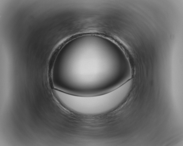 X0000114551452200910191401