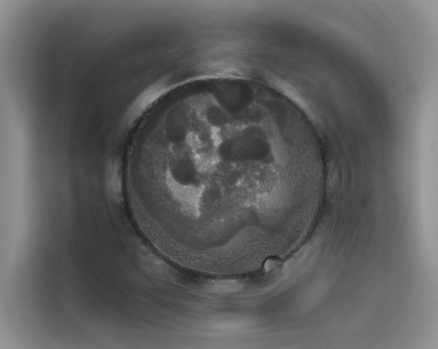 X0000114551455200910191401
