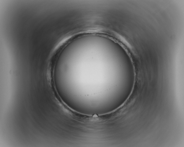 X0000114551456200910191401