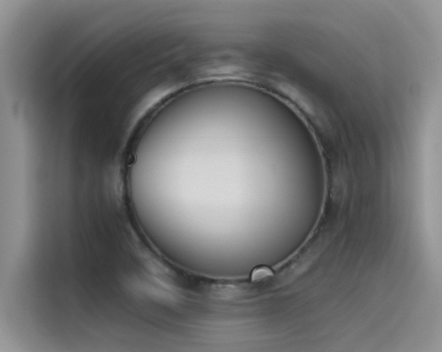 X0000114551458200910191401