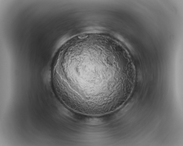 X0000114551459200910191401