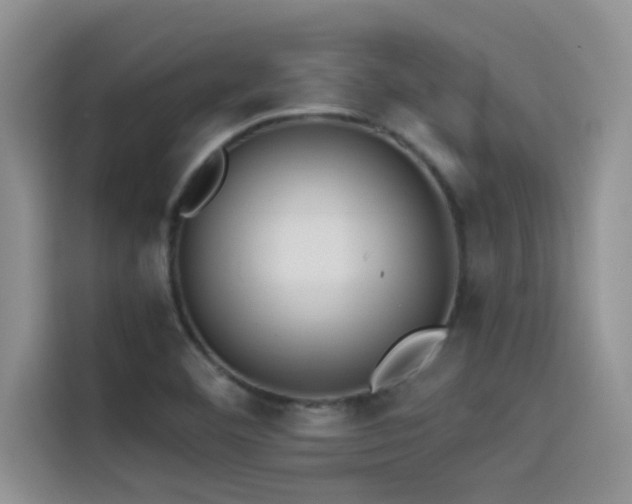 X0000114551460200910191401
