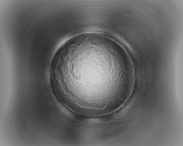 X0000114551463200910191401