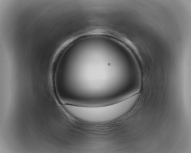 X0000114551464200910191401
