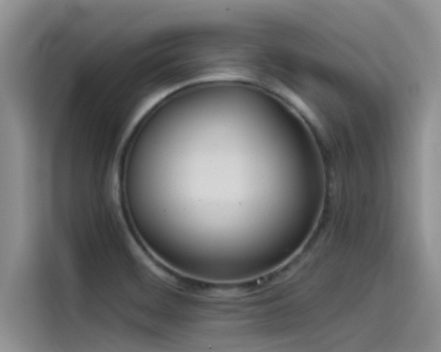 X0000114551468200910191401