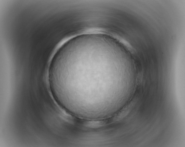X0000114551470200910191401