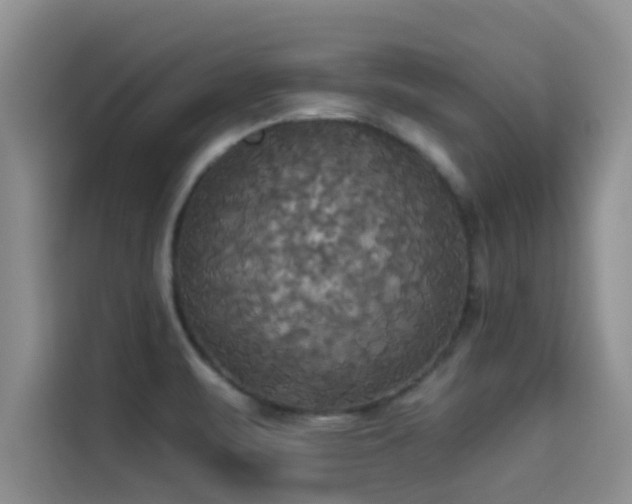 X0000114551471200910191401