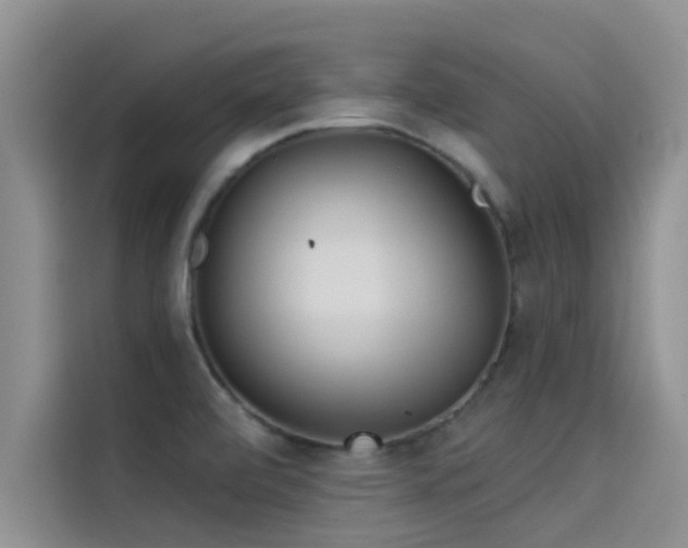 X0000114551472200910191401
