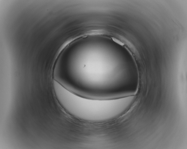 X0000114551473200910191401