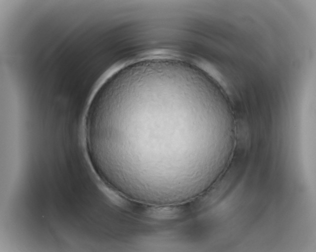 X0000114551474200910191401