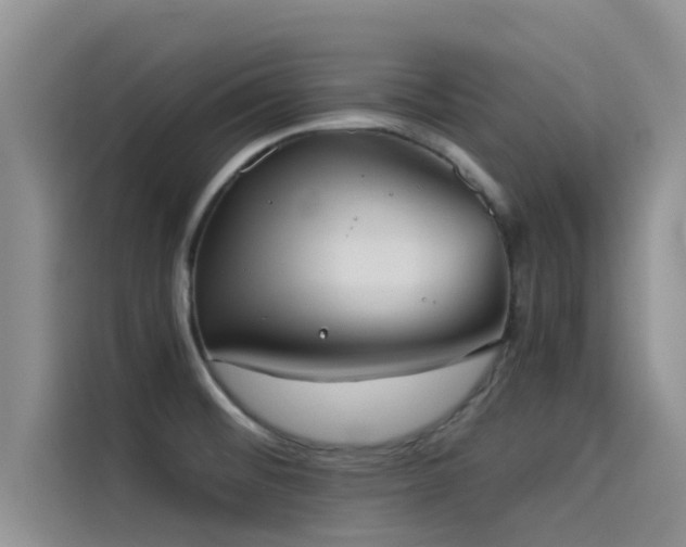 X0000114551476200910191401