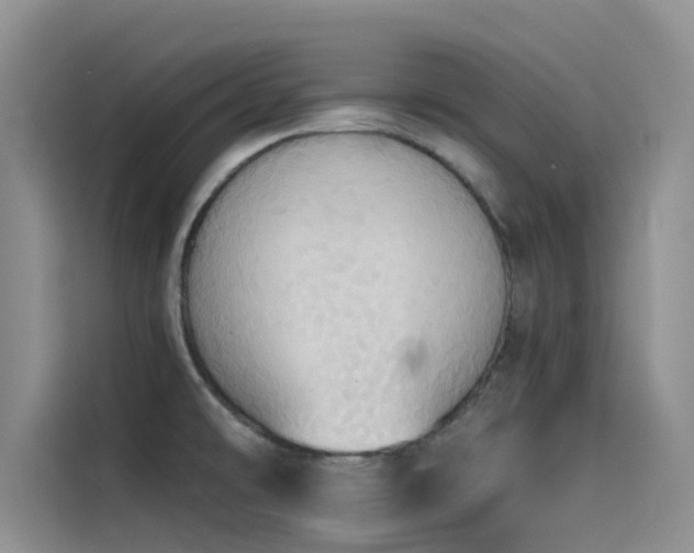 X0000114551478200910191401