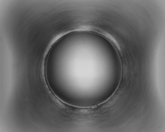 X0000114551480200910191401