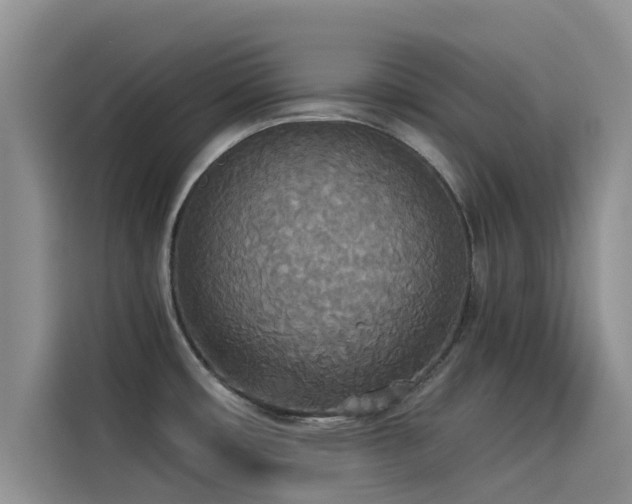 X0000114551482200910191401