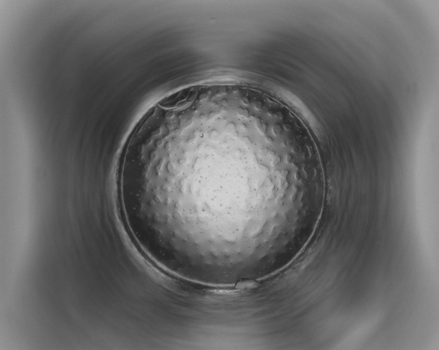 X0000114551483200910191401
