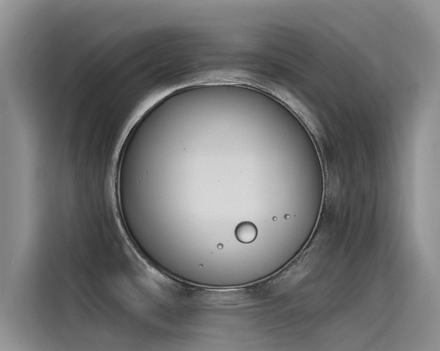 X0000114551486200910191401