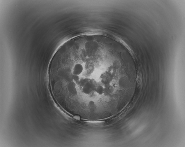 X0000114551487200910191401