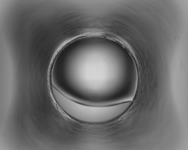 X0000114551488200910191401