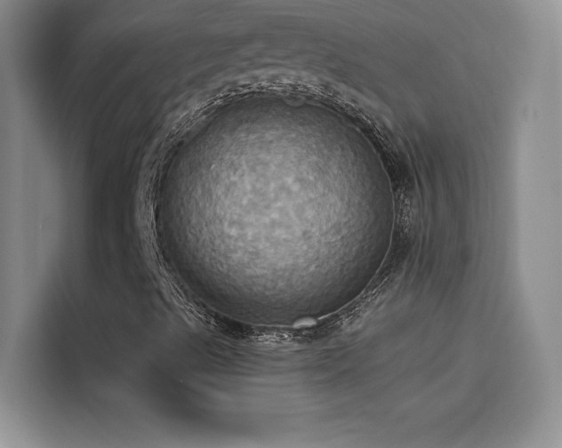 X0000114551489200910191400