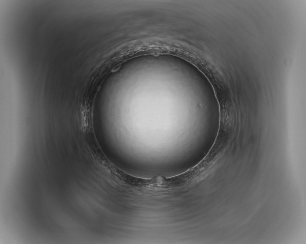 X0000114551490200910191400