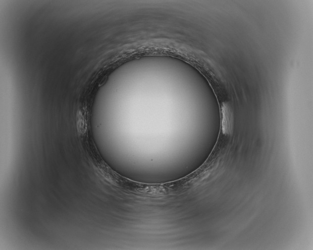 X0000114551491200910191400