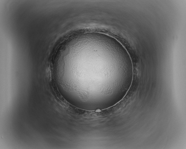 X0000114551493200910191400
