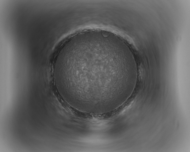 X0000114551494200910191400