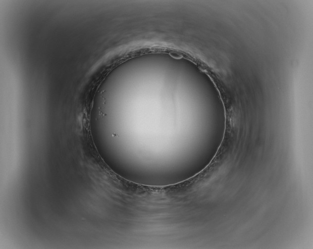 X0000114551495200910191400