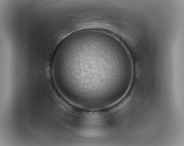 X0000114551497200910191400