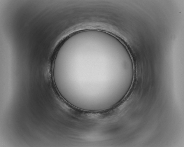 X0000114551498200910191400