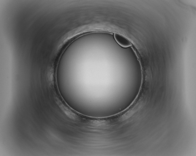 X0000114551499200910191400