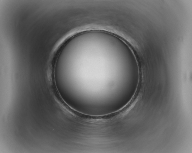 X0000114551502200910191400