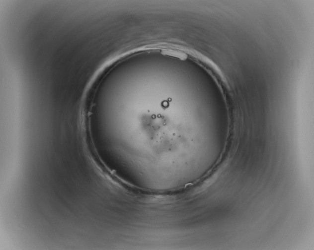 X0000114551506200910191400