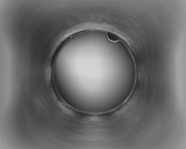X0000114551507200910191400