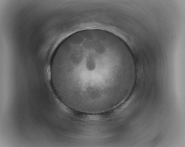 X0000114551509200910191400