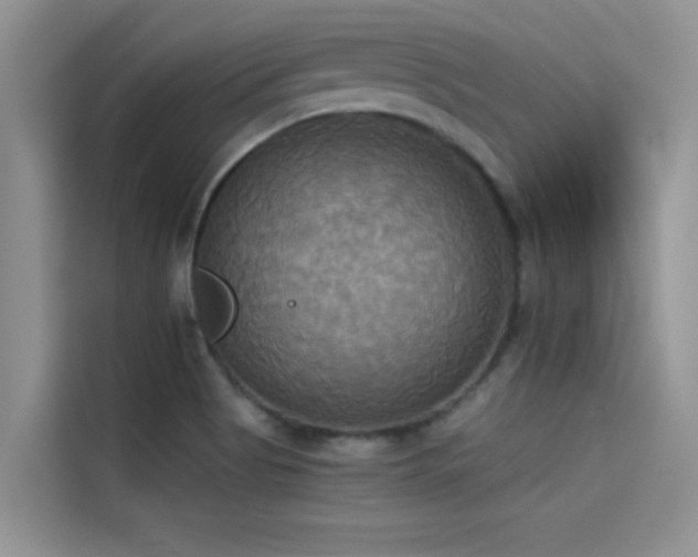 X0000114551513200910191401