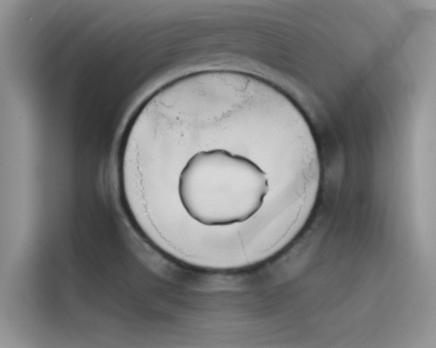 X0000114551514200910191401
