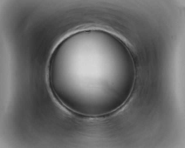 X0000114551518200910191401