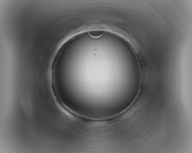 X0000114551519200910191401