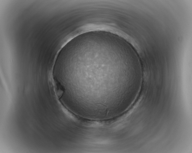X0000114551521200910191401