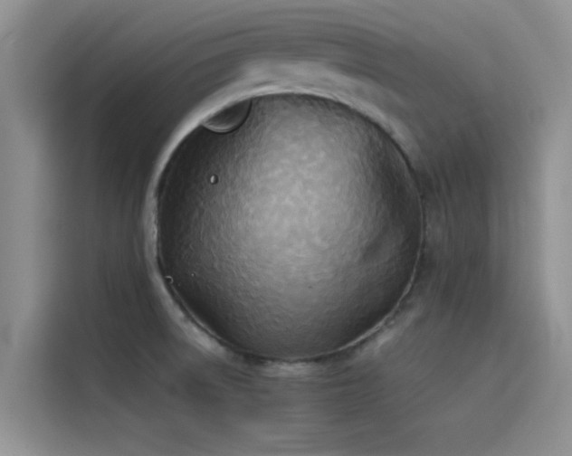X0000114551522200910191401