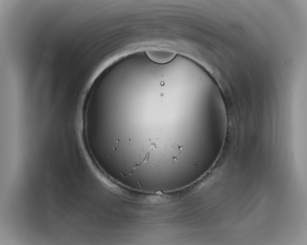 X0000114551523200910191401