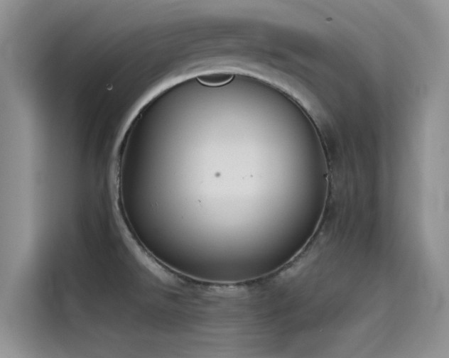 X0000114551526200910191401